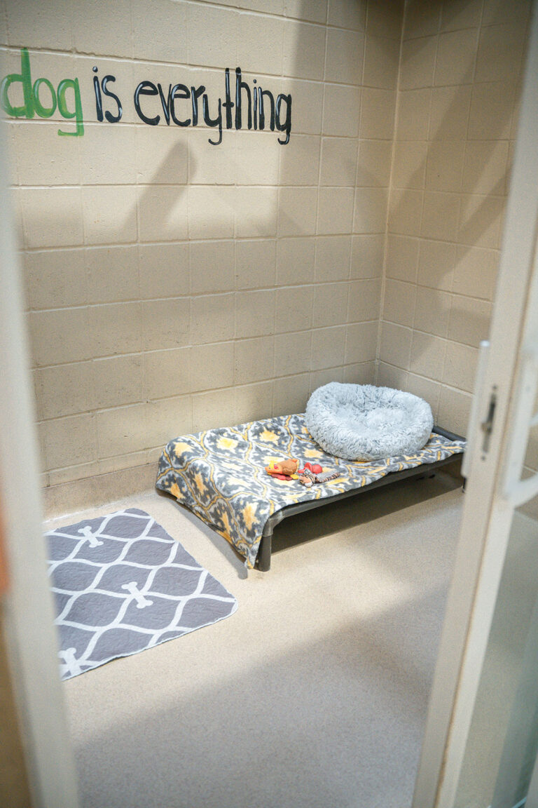 luxury-suite