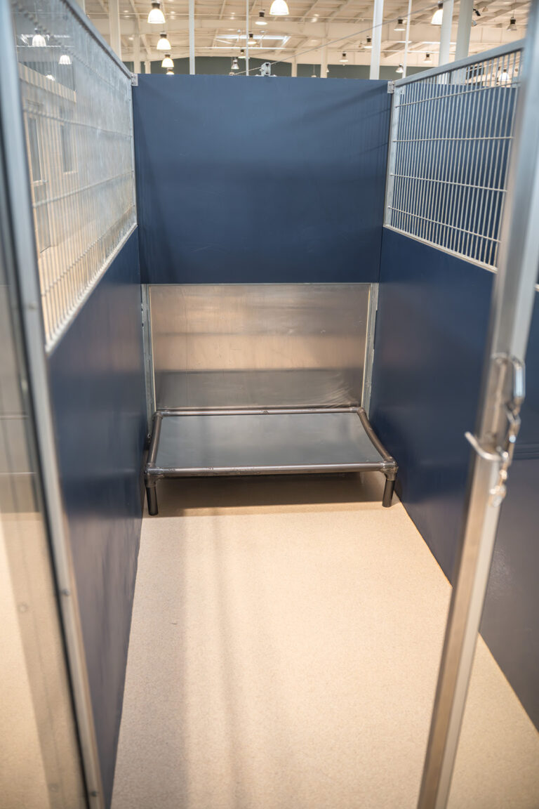 standard-plus-suite